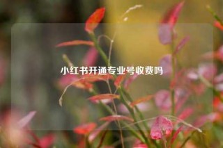 小红书开通专业号收费吗