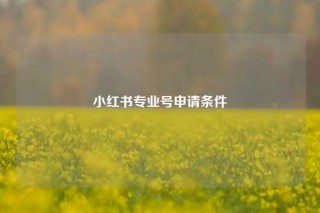 小红书专业号申请条件