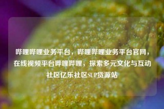 哔哩哔哩业务平台，哔哩哔哩业务平台官网，在线视频平台哔哩哔哩，探索多元文化与互动社区亿乐社区SUP货源站