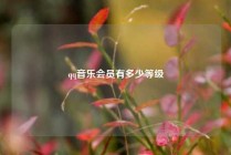 qq音乐会员有多少等级