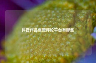 抖音作品点赞评论平台有哪些