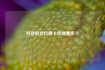 抖音粉丝灯牌十级需要多久