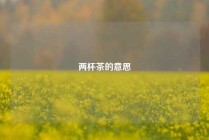 两杯茶的意思