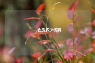 qq会员多少钱啊