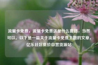 流量卡免费，流量卡免费送是什么套路，当然可以。以下是一篇关于流量卡免费主题的文章，亿乐社区低价自营货源站