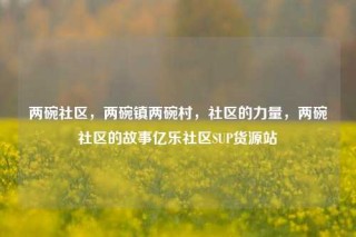两碗社区，两碗镇两碗村，社区的力量，两碗社区的故事亿乐社区SUP货源站