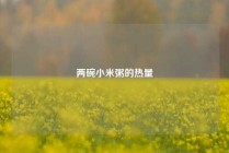 两碗小米粥的热量