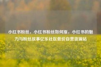 小红书粉丝，小红书粉丝如何涨，小红书的魅力与粉丝故事亿乐社区低价自营货源站