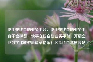 快手在线自助业务平台，快手在线自助业务平台不会掉赞，快手在线自助业务平台，开启企业数字化转型新篇章亿乐社区低价自营货源站