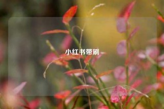 小红书带刷