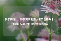 快手刷粉丝，如何高效利用快手平台提升个人影响力亿乐社区低价自营货源站