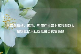 抖音刷粉丝，揭秘，如何在抖音上高效刷取大量粉丝亿乐社区低价自营货源站
