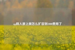 qq群人数上限怎么扩容到1000费用了