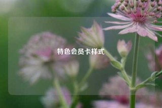 特色会员卡样式