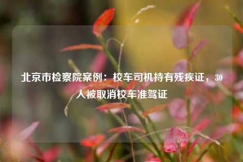 北京市检察院案例：校车司机持有残疾证，30人被取消校车准驾证  第1张