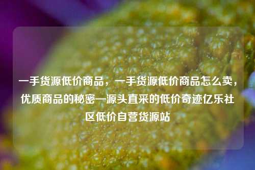 一手货源低价商品，一手货源低价商品怎么卖，优质商品的秘密—源头直采的低价奇迹亿乐社区低价自营货源站  第1张
