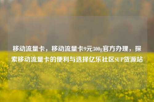 移动流量卡，移动流量卡9元300g官方办理，探索移动流量卡的便利与选择亿乐社区SUP货源站  第1张