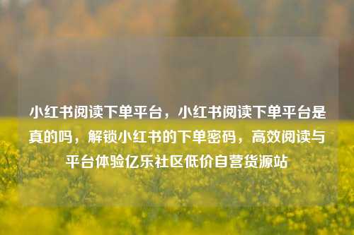 小红书阅读下单平台，小红书阅读下单平台是真的吗，解锁小红书的下单密码，高效阅读与平台体验亿乐社区低价自营货源站  第1张
