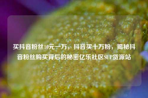 买抖音粉丝10元一万，抖音买十万粉，揭秘抖音粉丝购买背后的秘密亿乐社区SUP货源站  第1张