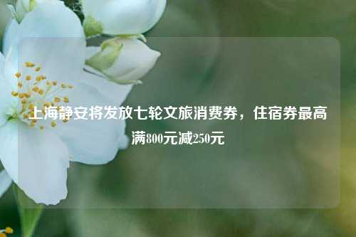 上海静安将发放七轮文旅消费券，住宿券最高满800元减250元  第1张