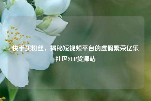快手买粉丝，揭秘短视频平台的虚假繁荣亿乐社区SUP货源站  第1张