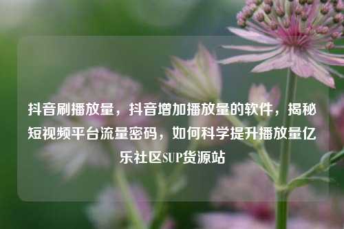 抖音刷播放量，抖音增加播放量的软件，揭秘短视频平台流量密码，如何科学提升播放量亿乐社区SUP货源站  第1张