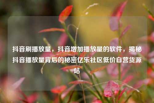 抖音刷播放量，抖音增加播放量的软件，揭秘抖音播放量背后的秘密亿乐社区低价自营货源站  第1张