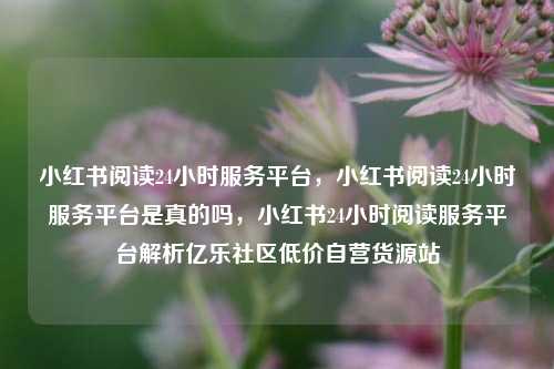 小红书阅读24小时服务平台，小红书阅读24小时服务平台是真的吗，小红书24小时阅读服务平台解析亿乐社区低价自营货源站  第1张