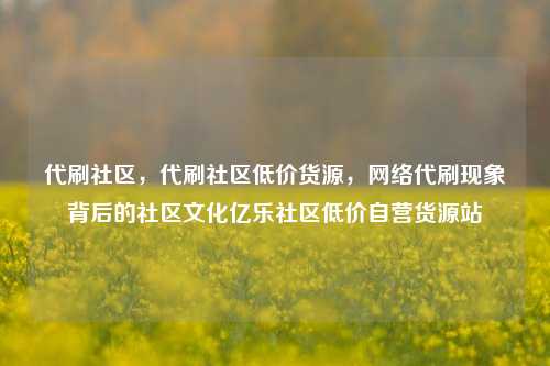 代刷社区，代刷社区低价货源，网络代刷现象背后的社区文化亿乐社区低价自营货源站  第1张