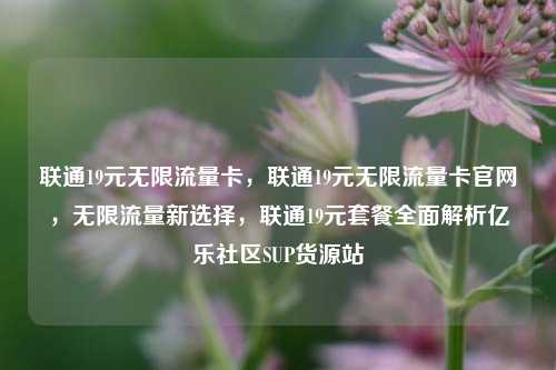 联通19元无限流量卡，联通19元无限流量卡官网，无限流量新选择，联通19元套餐全面解析亿乐社区SUP货源站  第1张
