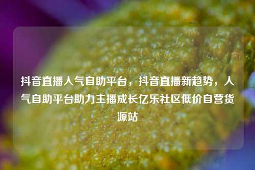 抖音直播人气自助平台，抖音直播新趋势，人气自助平台助力主播成长亿乐社区低价自营货源站  第1张