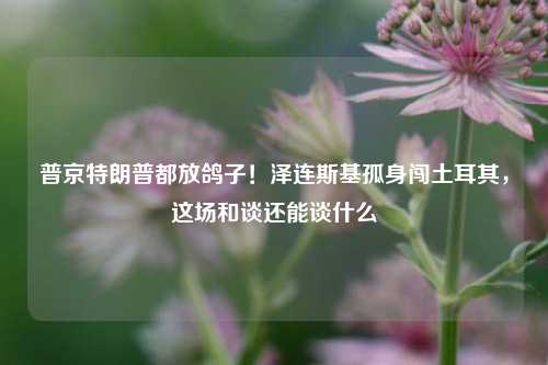 普京特朗普都放鸽子！泽连斯基孤身闯土耳其，这场和谈还能谈什么  第1张