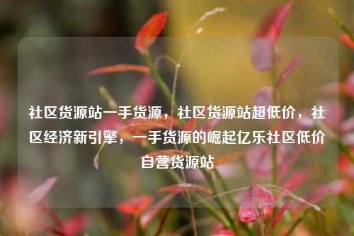 社区货源站一手货源，社区货源站超低价，社区经济新引擎，一手货源的崛起亿乐社区低价自营货源站  第1张