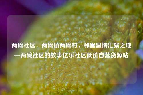两碗社区，两碗镇两碗村，邻里温情汇聚之地—两碗社区的故事亿乐社区低价自营货源站  第1张