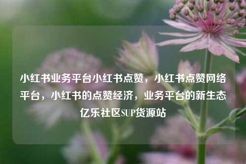 小红书业务平台小红书点赞，小红书点赞网络平台，小红书的点赞经济	，业务平台的新生态亿乐社区SUP货源站  第1张