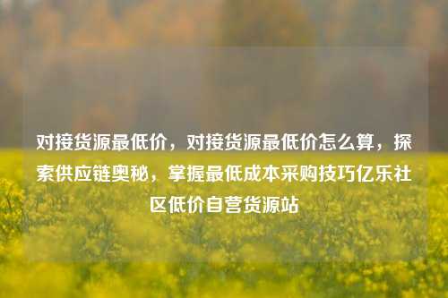 对接货源最低价，对接货源最低价怎么算，探索供应链奥秘，掌握最低成本采购技巧亿乐社区低价自营货源站  第1张