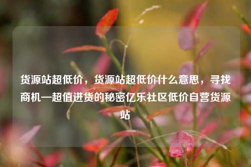 货源站超低价	，货源站超低价什么意思，寻找商机—超值进货的秘密亿乐社区低价自营货源站  第1张