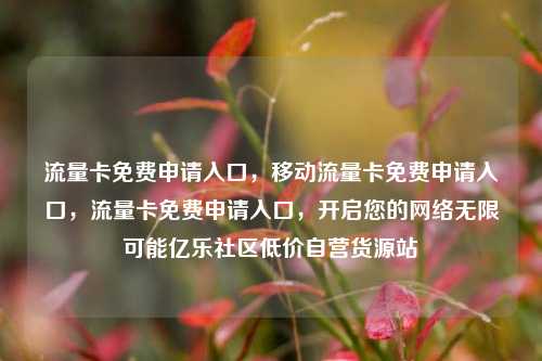 流量卡免费申请入口	，移动流量卡免费申请入口，流量卡免费申请入口，开启您的网络无限可能亿乐社区低价自营货源站  第1张