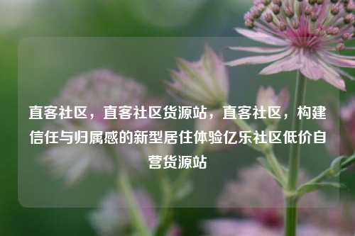 直客社区，直客社区货源站	，直客社区，构建信任与归属感的新型居住体验亿乐社区低价自营货源站  第1张