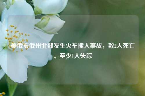 美俄亥俄州北部发生火车撞人事故，致2人死亡、至少1人失踪  第1张