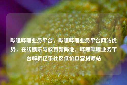 哔哩哔哩业务平台，哔哩哔哩业务平台网站优势	，在线娱乐与教育新阵地，哔哩哔哩业务平台解析亿乐社区低价自营货源站  第1张