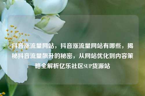抖音涨流量网站，抖音涨流量网站有哪些，揭秘抖音流量飙升的秘密	，从网站优化到内容策略全解析亿乐社区SUP货源站  第1张