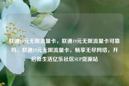 联通19元无限流量卡	，联通19元无限流量卡可靠吗，联通19元无限流量卡，畅享无尽网络	，开启新生活亿乐社区SUP货源站  第1张