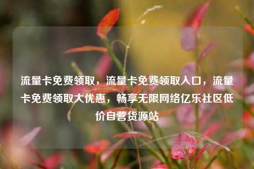 流量卡免费领取，流量卡免费领取入口，流量卡免费领取大优惠，畅享无限网络亿乐社区低价自营货源站  第1张