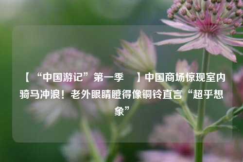 【“中国游记”第一季㉚】中国商场惊现室内骑马冲浪！老外眼睛瞪得像铜铃直言“超乎想象”  第1张