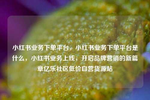小红书业务下单平台，小红书业务下单平台是什么，小红书业务上线，开启品牌营销的新篇章亿乐社区低价自营货源站  第1张