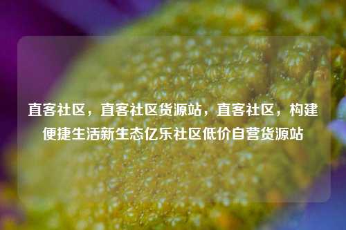 直客社区，直客社区货源站，直客社区，构建便捷生活新生态亿乐社区低价自营货源站  第1张