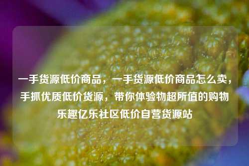 一手货源低价商品，一手货源低价商品怎么卖，手抓优质低价货源，带你体验物超所值的购物乐趣亿乐社区低价自营货源站  第1张