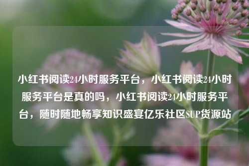 小红书阅读24小时服务平台，小红书阅读24小时服务平台是真的吗，小红书阅读24小时服务平台，随时随地畅享知识盛宴亿乐社区SUP货源站  第1张