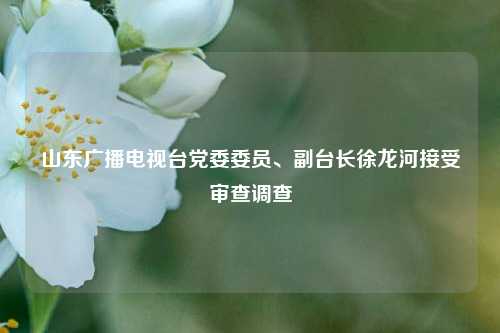山东广播电视台党委委员、副台长徐龙河接受审查调查  第1张